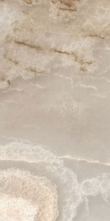 Reves Noisette Matte 12 x 24